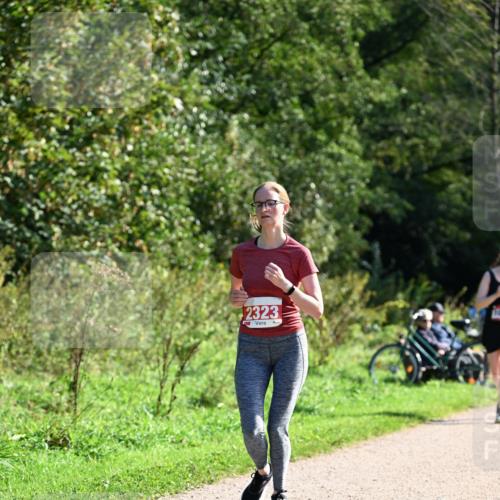 27.09.2026 - 35. Volkslauf durch das schöne Alstertal Dr. Thomas Lammeyer http://msf.ph/oto/10579329 27.09.2026 12:08:18 Laufen 2323 meine-sportfotos.de