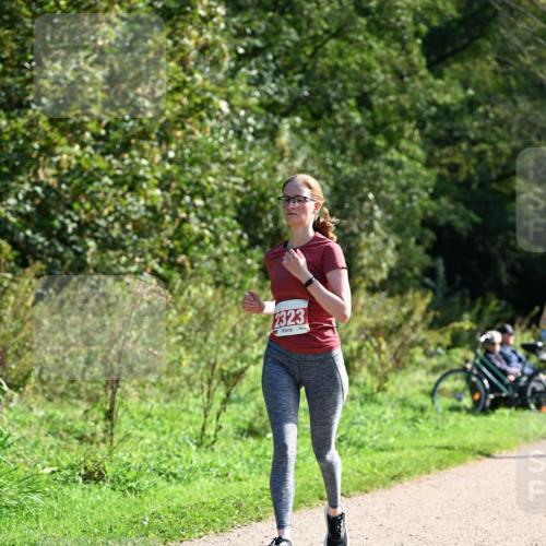 27.09.2026 - 35. Volkslauf durch das schöne Alstertal Dr. Thomas Lammeyer http://msf.ph/oto/10579331 27.09.2026 12:08:18 Laufen 2323 meine-sportfotos.de