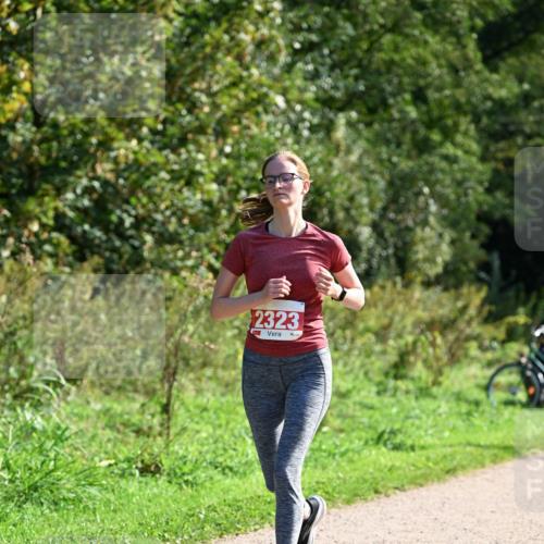 27.09.2026 - 35. Volkslauf durch das schöne Alstertal Dr. Thomas Lammeyer http://msf.ph/oto/10579334 27.09.2026 12:08:18 Laufen 2323 meine-sportfotos.de