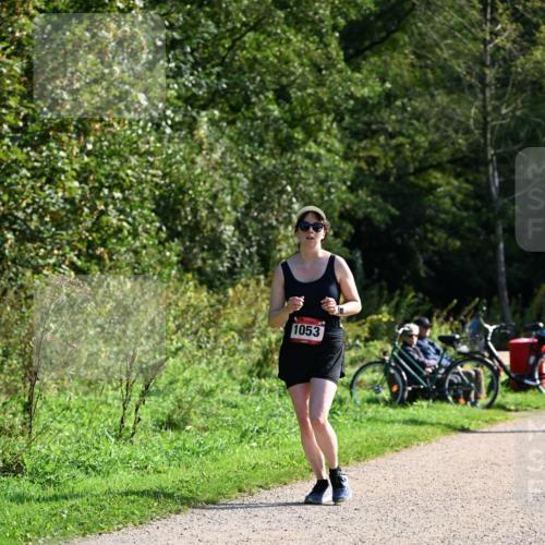 27.09.2026 - 35. Volkslauf durch das schöne Alstertal Dr. Thomas Lammeyer http://msf.ph/oto/10579336 27.09.2026 12:08:20 Laufen 1053 meine-sportfotos.de