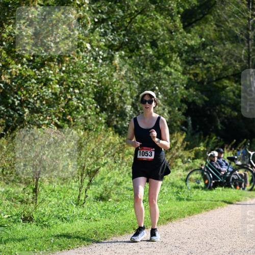 27.09.2026 - 35. Volkslauf durch das schöne Alstertal Dr. Thomas Lammeyer http://msf.ph/oto/10579340 27.09.2026 12:08:21 Laufen 1053 meine-sportfotos.de