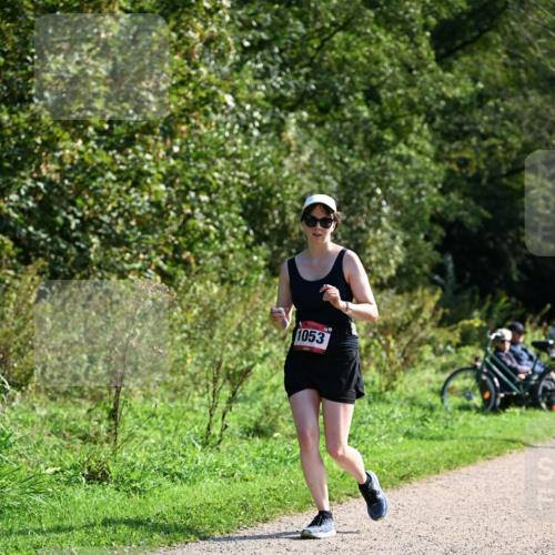 27.09.2026 - 35. Volkslauf durch das schöne Alstertal Dr. Thomas Lammeyer http://msf.ph/oto/10579342 27.09.2026 12:08:21 Laufen 1053 meine-sportfotos.de