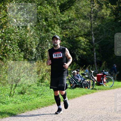 27.09.2026 - 35. Volkslauf durch das schöne Alstertal Dr. Thomas Lammeyer http://msf.ph/oto/10579347 27.09.2026 12:08:24 Laufen 1616 meine-sportfotos.de