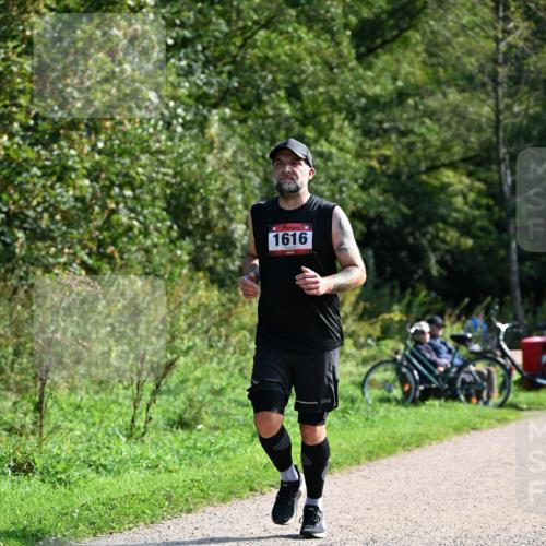 27.09.2026 - 35. Volkslauf durch das schöne Alstertal Dr. Thomas Lammeyer http://msf.ph/oto/10579351 27.09.2026 12:08:25 Laufen 1616 meine-sportfotos.de
