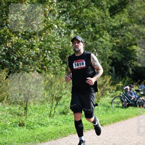 27.09.2026 - 35. Volkslauf durch das schöne Alstertal Dr. Thomas Lammeyer http://msf.ph/oto/10579353 27.09.2026 12:08:25 Laufen 1616 meine-sportfotos.de