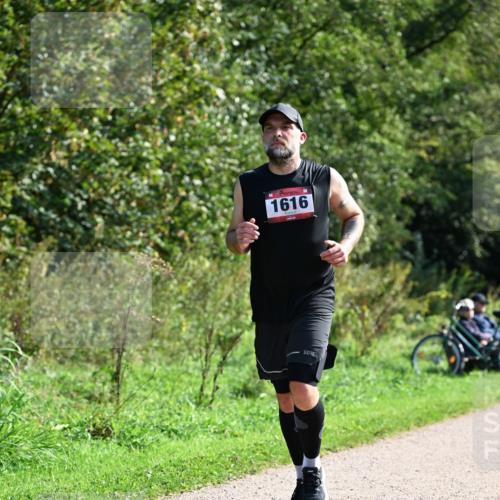 27.09.2026 - 35. Volkslauf durch das schöne Alstertal Dr. Thomas Lammeyer http://msf.ph/oto/10579355 27.09.2026 12:08:25 Laufen 1616 meine-sportfotos.de