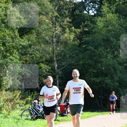 27.09.2026 - 35. Volkslauf durch das schöne Alstertal Dr. Thomas Lammeyer http://msf.ph/oto/10579367 27.09.2026 12:08:35 Laufen 1593, 1050 meine-sportfotos.de