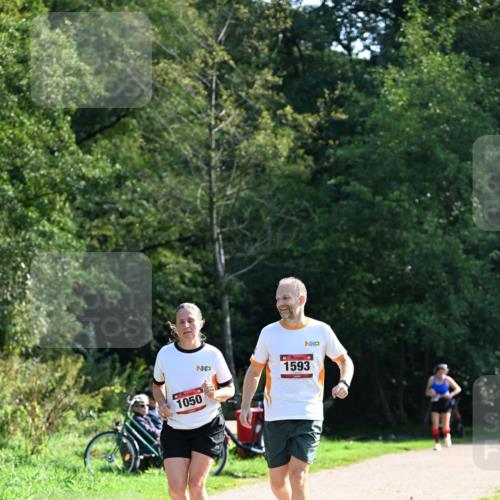 27.09.2026 - 35. Volkslauf durch das schöne Alstertal Dr. Thomas Lammeyer http://msf.ph/oto/10579368 27.09.2026 12:08:35 Laufen 1050, 1593 meine-sportfotos.de