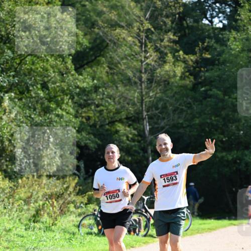 27.09.2026 - 35. Volkslauf durch das schöne Alstertal Dr. Thomas Lammeyer http://msf.ph/oto/10579372 27.09.2026 12:08:35 Laufen 1050, 1593 meine-sportfotos.de