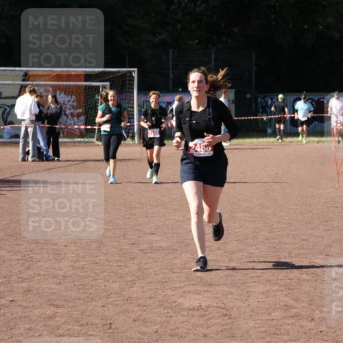 27.09.2026 - 35. Volkslauf durch das schöne Alstertal Strokosch-Dieckow http://msf.ph/oto/10579383 27.09.2026 12:49:35 Ziel 2488 meine-sportfotos.de
