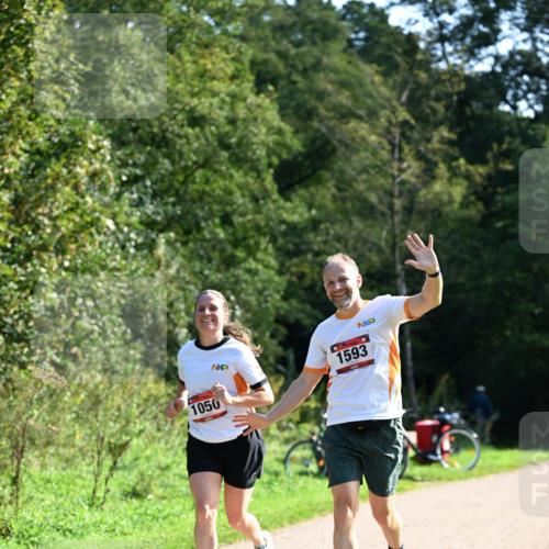27.09.2026 - 35. Volkslauf durch das schöne Alstertal Dr. Thomas Lammeyer http://msf.ph/oto/10579385 27.09.2026 12:08:37 Laufen 1050, 1593 meine-sportfotos.de