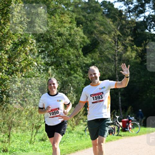 27.09.2026 - 35. Volkslauf durch das schöne Alstertal Dr. Thomas Lammeyer http://msf.ph/oto/10579388 27.09.2026 12:08:37 Laufen 1050, 1593 meine-sportfotos.de
