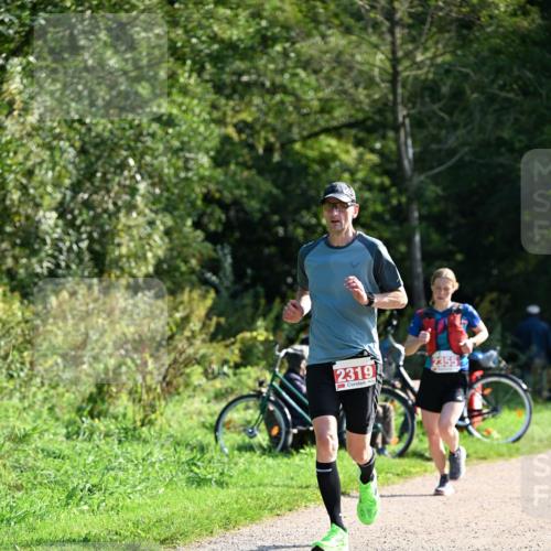 27.09.2026 - 35. Volkslauf durch das schöne Alstertal Dr. Thomas Lammeyer http://msf.ph/oto/10579411 27.09.2026 12:08:52 Laufen 2319, 2355 meine-sportfotos.de