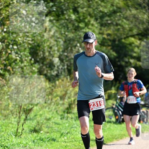 27.09.2026 - 35. Volkslauf durch das schöne Alstertal Dr. Thomas Lammeyer http://msf.ph/oto/10579423 27.09.2026 12:08:54 Laufen 2319 meine-sportfotos.de