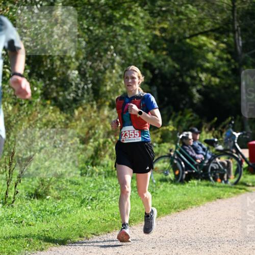 27.09.2026 - 35. Volkslauf durch das schöne Alstertal Dr. Thomas Lammeyer http://msf.ph/oto/10579427 27.09.2026 12:08:55 Laufen 2355 meine-sportfotos.de