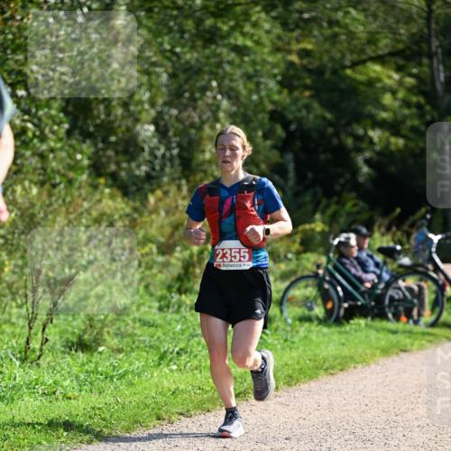 27.09.2026 - 35. Volkslauf durch das schöne Alstertal Dr. Thomas Lammeyer http://msf.ph/oto/10579428 27.09.2026 12:08:55 Laufen 2355 meine-sportfotos.de