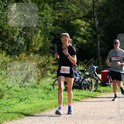27.09.2026 - 35. Volkslauf durch das schöne Alstertal Dr. Thomas Lammeyer http://msf.ph/oto/10579441 27.09.2026 12:08:58 Laufen 2129, 1728 meine-sportfotos.de