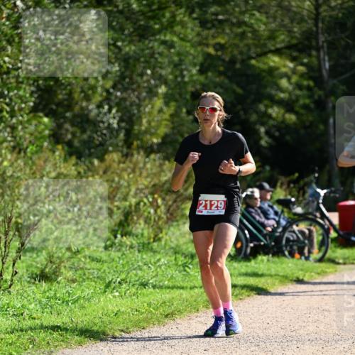 27.09.2026 - 35. Volkslauf durch das schöne Alstertal Dr. Thomas Lammeyer http://msf.ph/oto/10579444 27.09.2026 12:08:59 Laufen 2129 meine-sportfotos.de