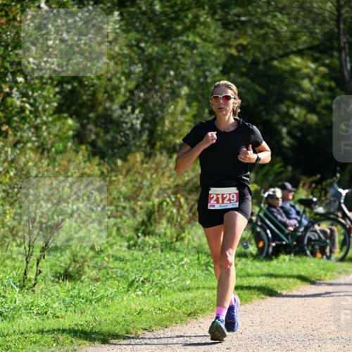 27.09.2026 - 35. Volkslauf durch das schöne Alstertal Dr. Thomas Lammeyer http://msf.ph/oto/10579446 27.09.2026 12:08:59 Laufen 2129 meine-sportfotos.de