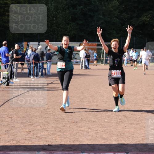 27.09.2026 - 35. Volkslauf durch das schöne Alstertal Strokosch-Dieckow http://msf.ph/oto/10579448 27.09.2026 12:49:43 Ziel 2161, 2181, 2188 meine-sportfotos.de