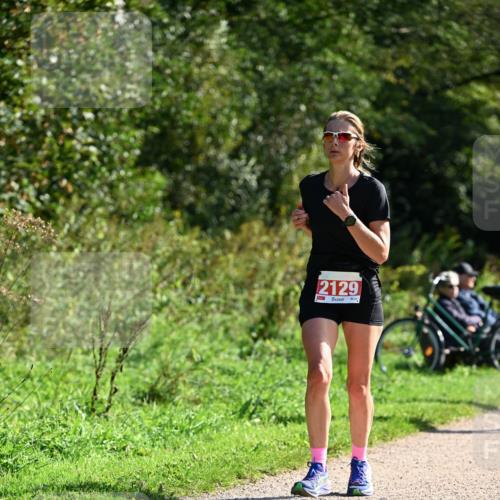 27.09.2026 - 35. Volkslauf durch das schöne Alstertal Dr. Thomas Lammeyer http://msf.ph/oto/10579449 27.09.2026 12:08:59 Laufen 2129 meine-sportfotos.de