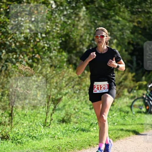 27.09.2026 - 35. Volkslauf durch das schöne Alstertal Dr. Thomas Lammeyer http://msf.ph/oto/10579453 27.09.2026 12:08:59 Laufen 2129 meine-sportfotos.de