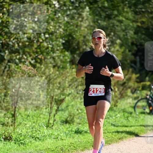 27.09.2026 - 35. Volkslauf durch das schöne Alstertal Dr. Thomas Lammeyer http://msf.ph/oto/10579454 27.09.2026 12:09:00 Laufen 2129 meine-sportfotos.de