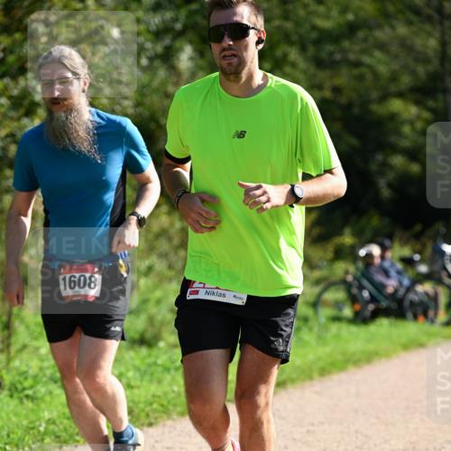 27.09.2026 - 35. Volkslauf durch das schöne Alstertal Dr. Thomas Lammeyer http://msf.ph/oto/10579470 27.09.2026 12:09:04 Laufen 1608 meine-sportfotos.de
