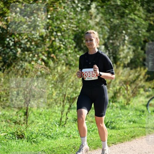 27.09.2026 - 35. Volkslauf durch das schöne Alstertal Dr. Thomas Lammeyer http://msf.ph/oto/10579474 27.09.2026 12:09:13 Laufen 2085 meine-sportfotos.de