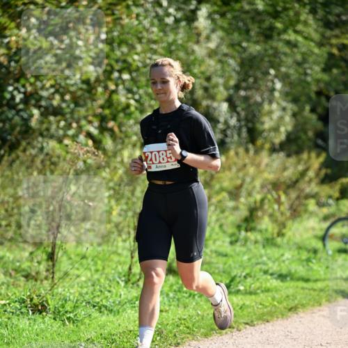27.09.2026 - 35. Volkslauf durch das schöne Alstertal Dr. Thomas Lammeyer http://msf.ph/oto/10579475 27.09.2026 12:09:13 Laufen 2085 meine-sportfotos.de