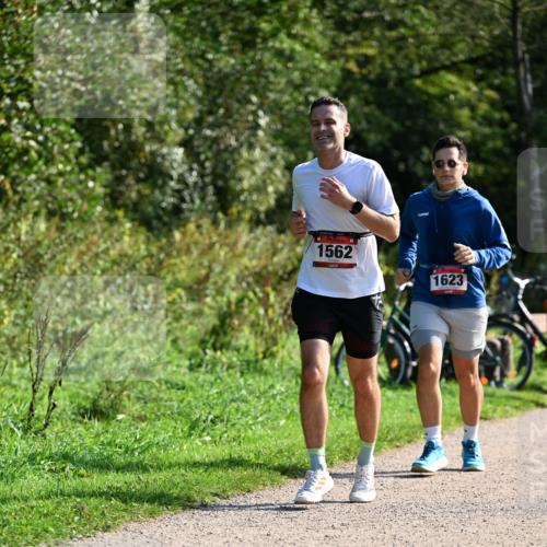27.09.2026 - 35. Volkslauf durch das schöne Alstertal Dr. Thomas Lammeyer http://msf.ph/oto/10579477 27.09.2026 12:09:14 Laufen 1562, 1623 meine-sportfotos.de