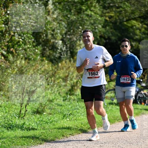 27.09.2026 - 35. Volkslauf durch das schöne Alstertal Dr. Thomas Lammeyer http://msf.ph/oto/10579479 27.09.2026 12:09:15 Laufen 1562, 1623 meine-sportfotos.de