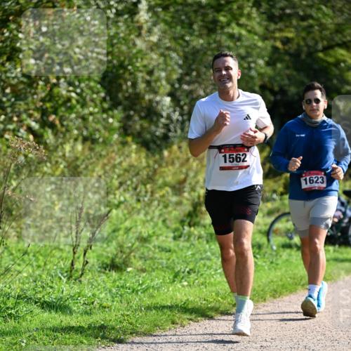 27.09.2026 - 35. Volkslauf durch das schöne Alstertal Dr. Thomas Lammeyer http://msf.ph/oto/10579481 27.09.2026 12:09:15 Laufen 1562, 1623 meine-sportfotos.de