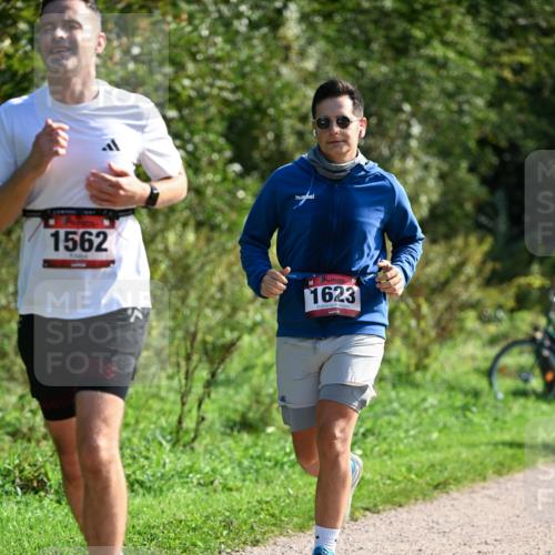 27.09.2026 - 35. Volkslauf durch das schöne Alstertal Dr. Thomas Lammeyer http://msf.ph/oto/10579487 27.09.2026 12:09:16 Laufen 1562, 1623 meine-sportfotos.de