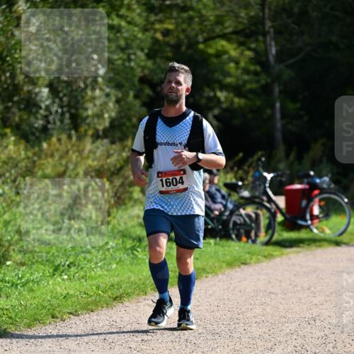 27.09.2026 - 35. Volkslauf durch das schöne Alstertal Dr. Thomas Lammeyer http://msf.ph/oto/10579492 27.09.2026 12:09:19 Laufen 1604 meine-sportfotos.de