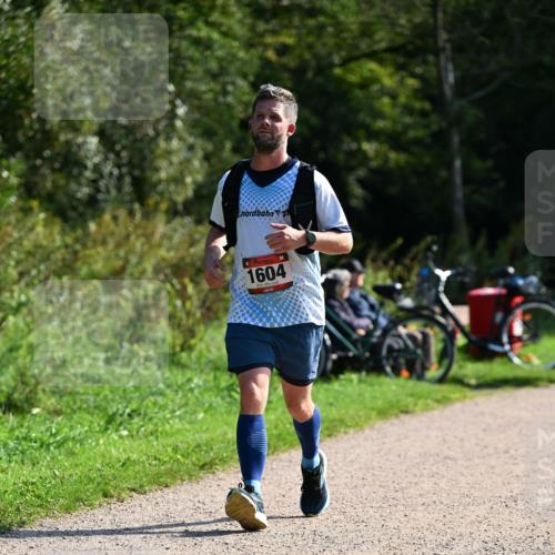 27.09.2026 - 35. Volkslauf durch das schöne Alstertal Dr. Thomas Lammeyer http://msf.ph/oto/10579493 27.09.2026 12:09:19 Laufen 1604 meine-sportfotos.de