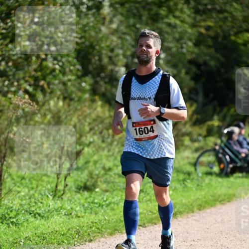27.09.2026 - 35. Volkslauf durch das schöne Alstertal Dr. Thomas Lammeyer http://msf.ph/oto/10579499 27.09.2026 12:09:20 Laufen 1604 meine-sportfotos.de