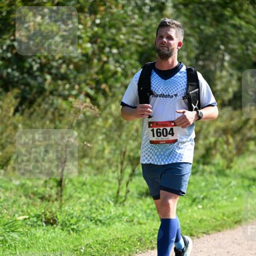 27.09.2026 - 35. Volkslauf durch das schöne Alstertal Dr. Thomas Lammeyer http://msf.ph/oto/10579503 27.09.2026 12:09:20 Laufen 1604 meine-sportfotos.de