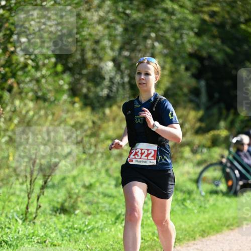 27.09.2026 - 35. Volkslauf durch das schöne Alstertal Dr. Thomas Lammeyer http://msf.ph/oto/10579514 27.09.2026 12:09:29 Laufen 2322 meine-sportfotos.de