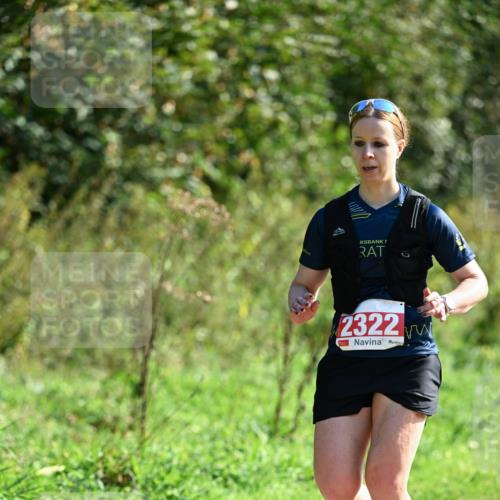27.09.2026 - 35. Volkslauf durch das schöne Alstertal Dr. Thomas Lammeyer http://msf.ph/oto/10579519 27.09.2026 12:09:29 Laufen 2322 meine-sportfotos.de