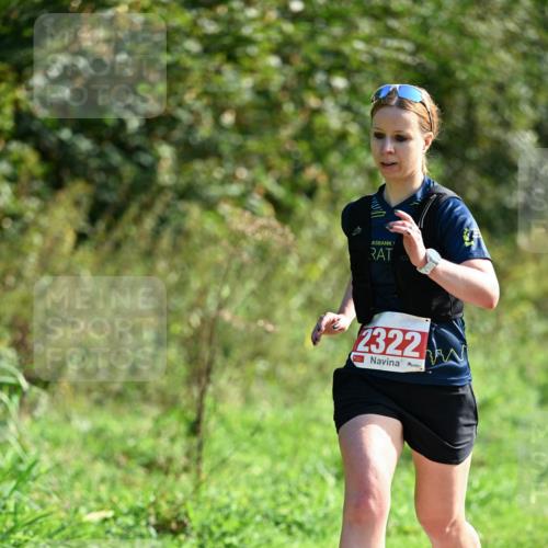 27.09.2026 - 35. Volkslauf durch das schöne Alstertal Dr. Thomas Lammeyer http://msf.ph/oto/10579521 27.09.2026 12:09:29 Laufen 2322 meine-sportfotos.de