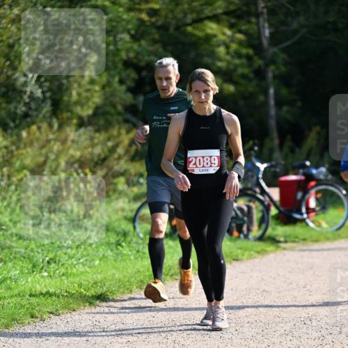 27.09.2026 - 35. Volkslauf durch das schöne Alstertal Dr. Thomas Lammeyer http://msf.ph/oto/10579523 27.09.2026 12:09:35 Laufen 2089 meine-sportfotos.de