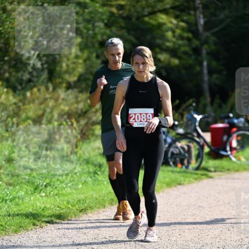 27.09.2026 - 35. Volkslauf durch das schöne Alstertal Dr. Thomas Lammeyer http://msf.ph/oto/10579526 27.09.2026 12:09:35 Laufen 2, 2089 meine-sportfotos.de