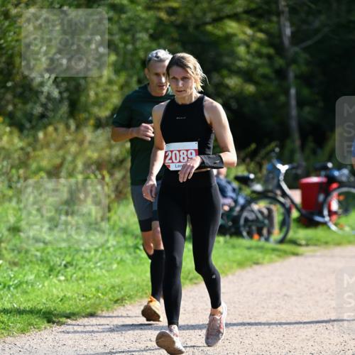 27.09.2026 - 35. Volkslauf durch das schöne Alstertal Dr. Thomas Lammeyer http://msf.ph/oto/10579527 27.09.2026 12:09:35 Laufen 2089 meine-sportfotos.de