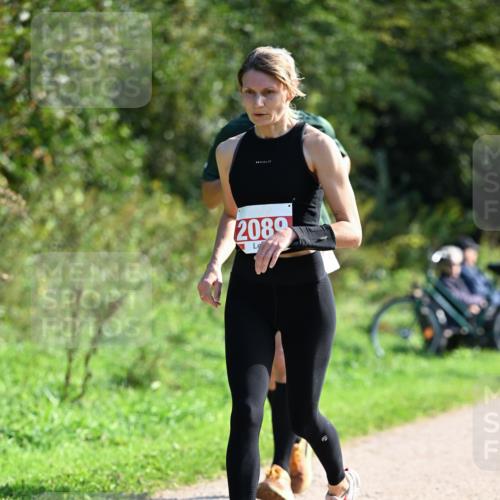 27.09.2026 - 35. Volkslauf durch das schöne Alstertal Dr. Thomas Lammeyer http://msf.ph/oto/10579533 27.09.2026 12:09:36 Laufen 2089 meine-sportfotos.de