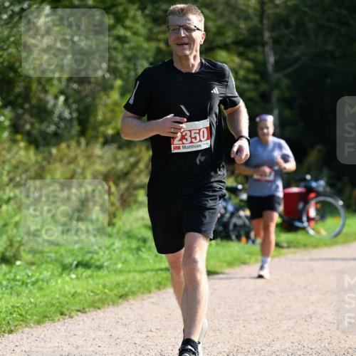 27.09.2026 - 35. Volkslauf durch das schöne Alstertal Dr. Thomas Lammeyer http://msf.ph/oto/10579546 27.09.2026 12:09:42 Laufen 2350 meine-sportfotos.de