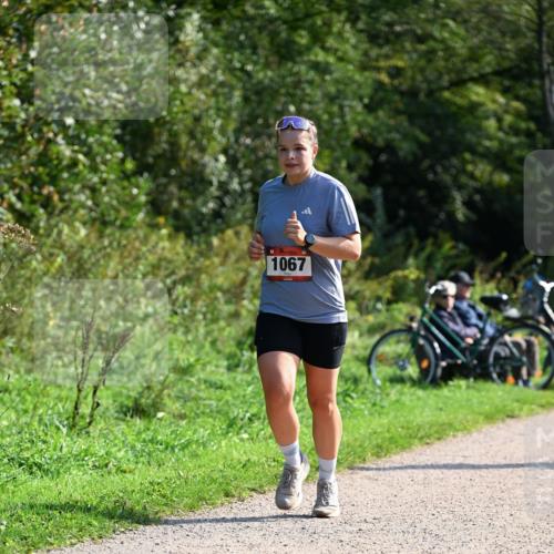 27.09.2026 - 35. Volkslauf durch das schöne Alstertal Dr. Thomas Lammeyer http://msf.ph/oto/10579550 27.09.2026 12:09:44 Laufen 1067 meine-sportfotos.de