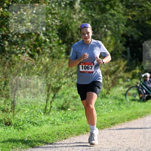 27.09.2026 - 35. Volkslauf durch das schöne Alstertal Dr. Thomas Lammeyer http://msf.ph/oto/10579554 27.09.2026 12:09:45 Laufen 1067 meine-sportfotos.de