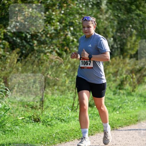 27.09.2026 - 35. Volkslauf durch das schöne Alstertal Dr. Thomas Lammeyer http://msf.ph/oto/10579558 27.09.2026 12:09:45 Laufen 1067 meine-sportfotos.de