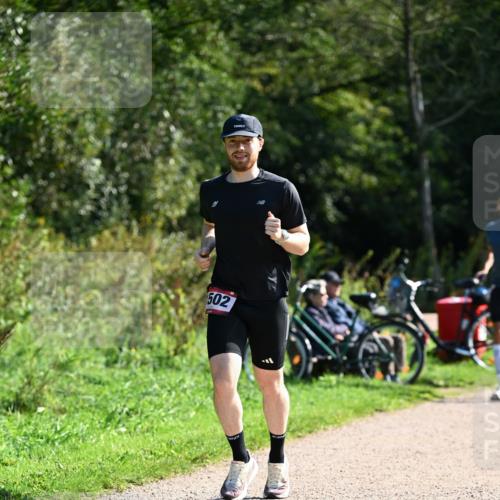 27.09.2026 - 35. Volkslauf durch das schöne Alstertal Dr. Thomas Lammeyer http://msf.ph/oto/10579576 27.09.2026 12:09:51 Laufen 502 meine-sportfotos.de